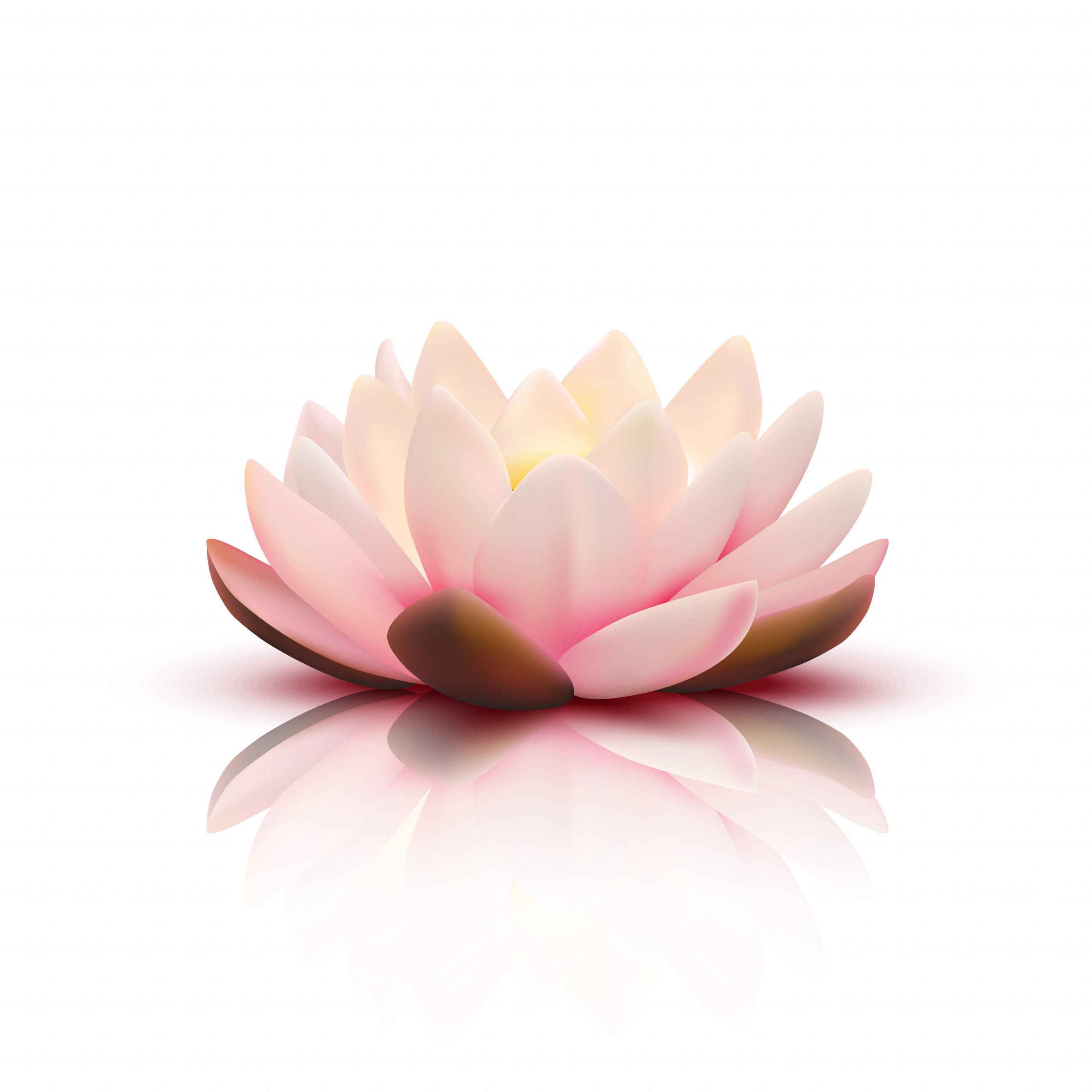 Fleur de lotus